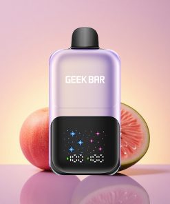 GEEK BAR 2GO 20ml 50000 Puffs Broskev Mango Meloun Led s 5% nikotinu a nabíjecím akumem