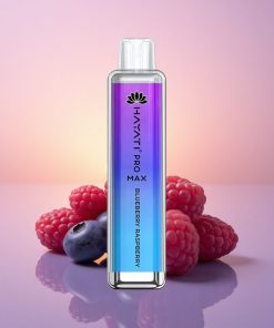 Hayati Pro Max 4000 Puffs Borovice Malina 1400mAh 5% Nikotin Dual Mesh