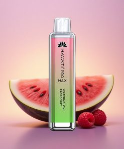 Hayati Pro Max 4000 Puffs Meloun Malina Dual 1.1 Ohm Mesh Coil 2ml tank 1400mAh